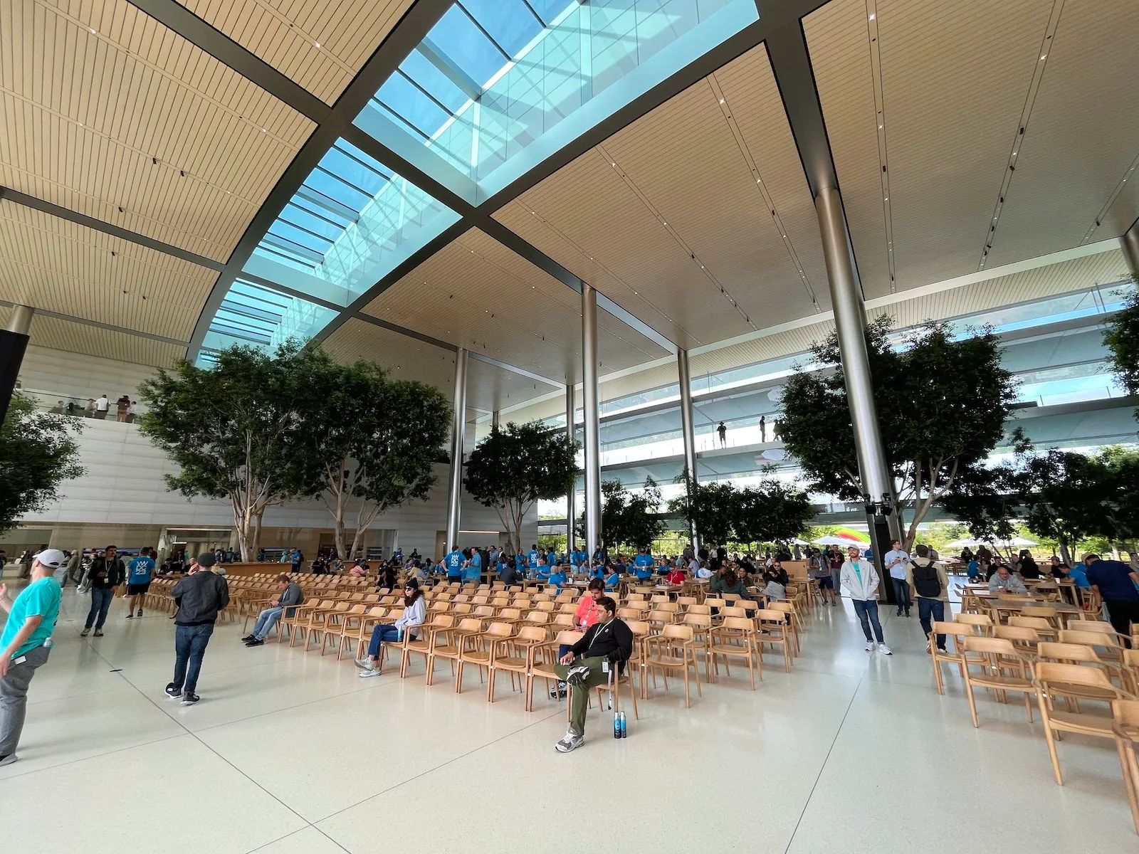 Caffè Macs 内景，非常开阔，而且食堂里竟然种树