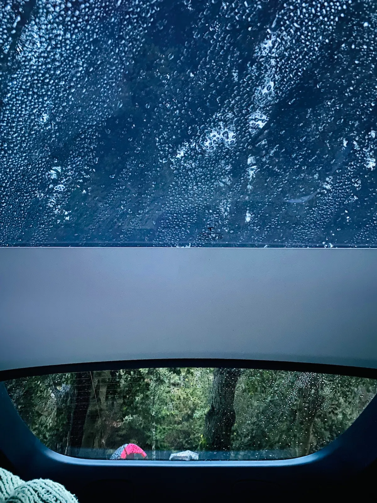 Car camping 早晨醒来一眼透过天窗