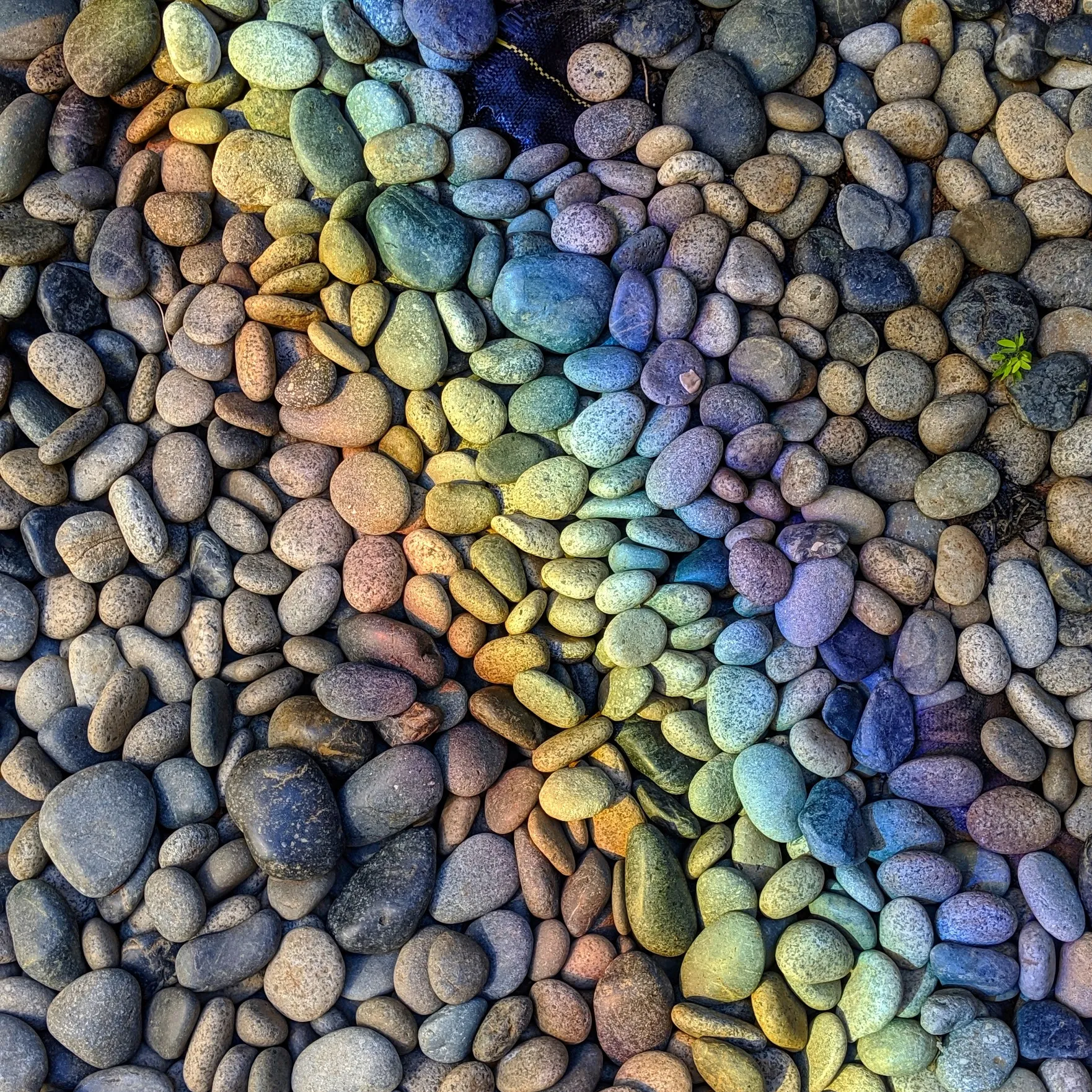 路边随手拍，鹅卵石细节和彩虹颜色表现准确